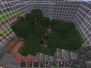 Trees in a glass building