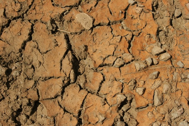 Dry ground